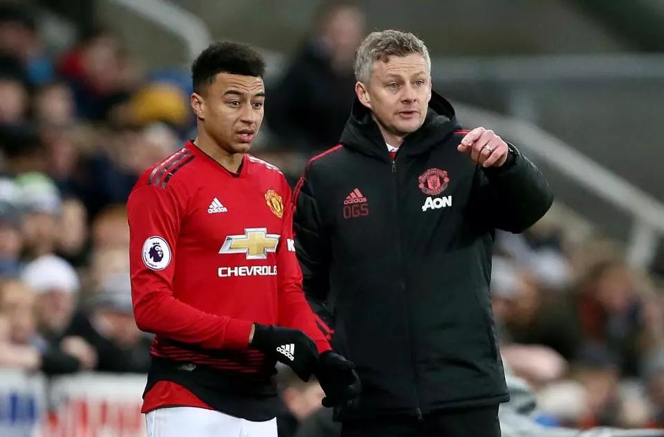 的职业生涯 的职业生涯